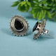 Black Onyx Teardrop 92.5 Sterling Silver Stud Earrings for Women