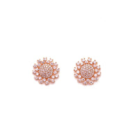 Diamond Look Cubic Zirconia Studded Signity Earrings 4